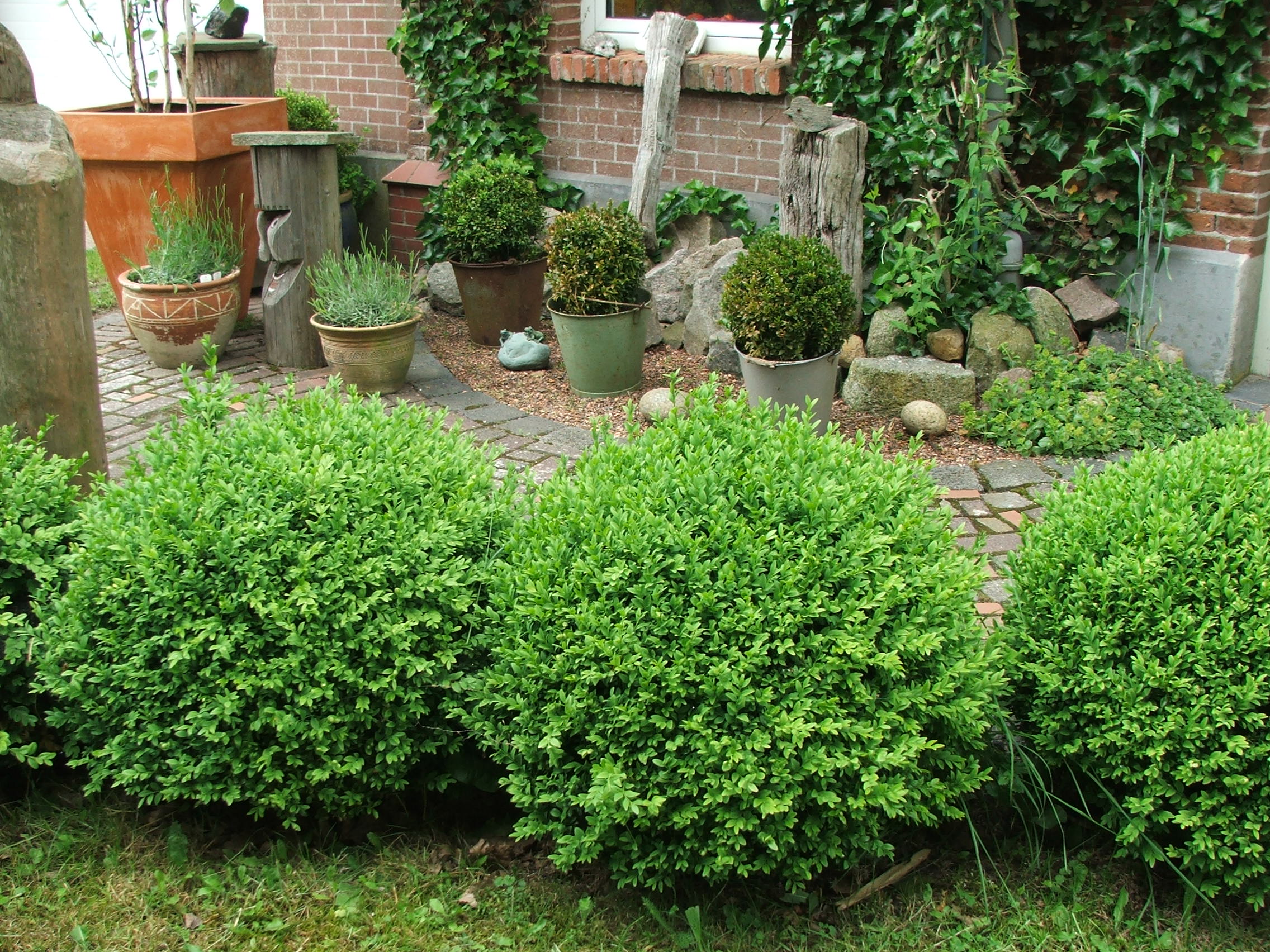 Gartengestaltung,Gehwege,Zufahrten,Eingänge,Pflasterungen